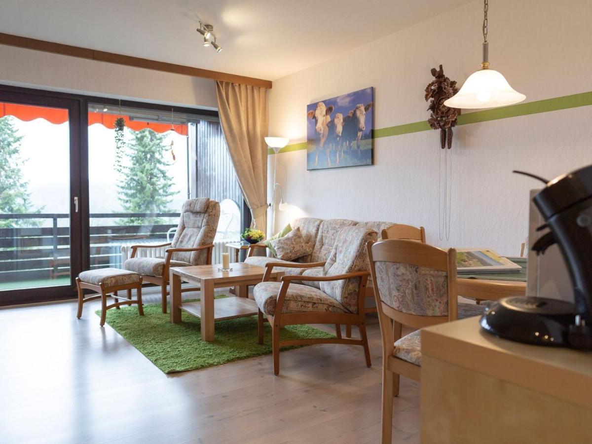 Appartmentvermietung Terrassenpark Schonach سخوناخ المظهر الخارجي الصورة